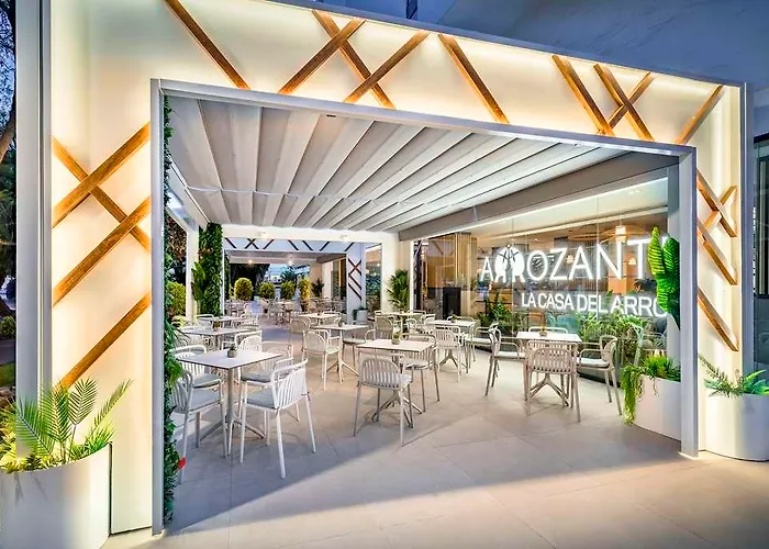 Occidental Puerto Banus